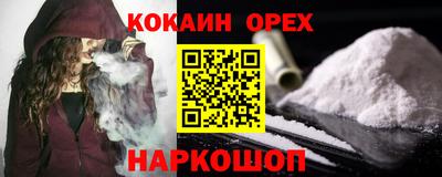apvp Тверь